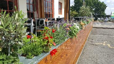Major Plants Ltd - Pots and Troughs - London - UK - Image 3