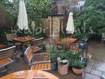 Major Plants Ltd - Pots and Troughs - London - UK - Image 4