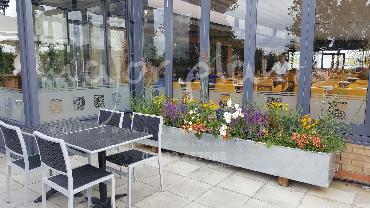 Major Plants Ltd - Pots and Troughs - London - UK - Image 7