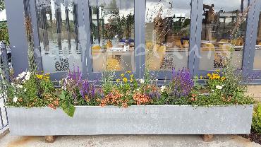 Major Plants Ltd - Pots and Troughs - London - UK - Image 17