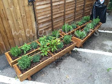 Major Plants Ltd - Pots and Troughs - London - UK - Image 21