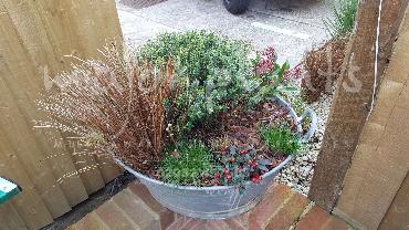 Major Plants Ltd - Pots and Troughs - London - UK - Image 51