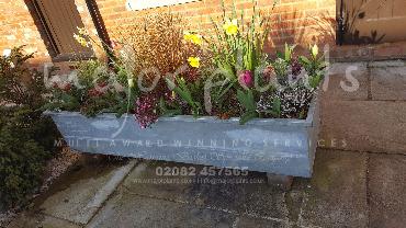 Major Plants Ltd - Pots and Troughs - London - UK - Image 52