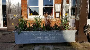 Major Plants Ltd - Pots and Troughs - London - UK - Image 57