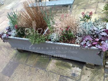 Major Plants Ltd - Pots and Troughs - London - UK - Image 66