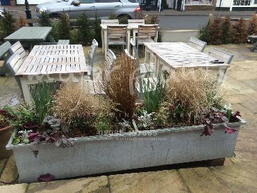 Major Plants Ltd - Pots and Troughs - London - UK - Image 68