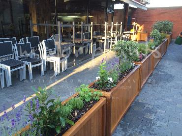 Major Plants Ltd - Pots and Troughs - London - UK - Image 77