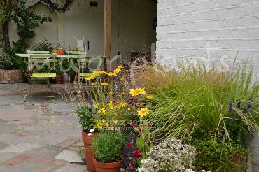 Major Plants Ltd - Pots and Troughs - London - UK - Image 110