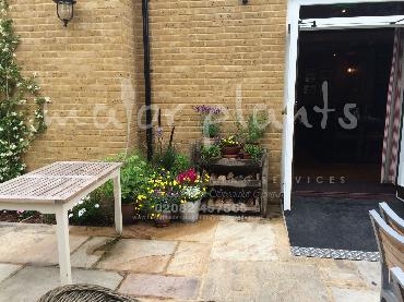 Major Plants Ltd - Pots and Troughs - London - UK - Image 122