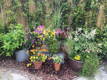 Major Plants Ltd - Pots and Troughs - London - UK - Image 125