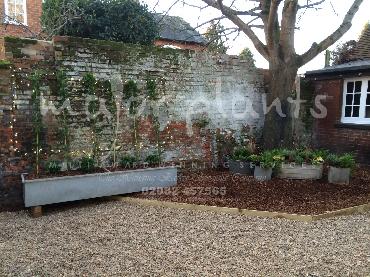 Major Plants Ltd - Pots and Troughs - London - UK - Image 146