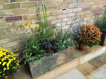 Major Plants Ltd - Pots and Troughs - London - UK - Image 150
