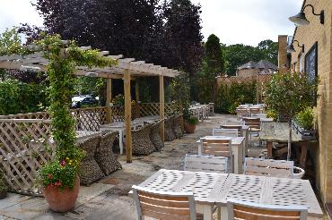 Major Plants Ltd - WBC British Queen - London - UK - Image 7