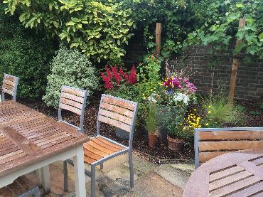 Major Plants Ltd - WBC British Queen - London - UK - Image 10