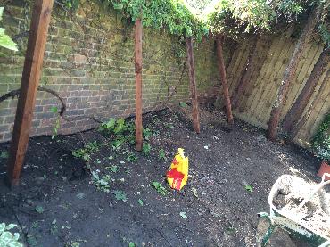 Major Plants Ltd - WBC British Queen - London - UK - Image 27