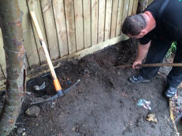 Major Plants Ltd - WBC British Queen - London - UK - Image 28