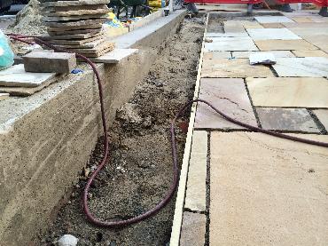 Major Plants Ltd - WBC British Queen - London - UK - Image 29