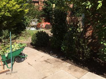 Major Plants Ltd - WBC The Victoria - London - UK - Image 15