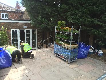 Major Plants Ltd - WBC The Victoria - London - UK - Image 16