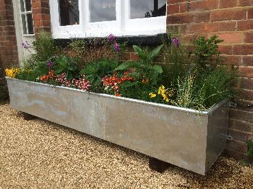 Major Plants Ltd - WBC The Victoria - London - UK - Image 39