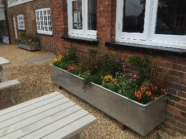 Major Plants Ltd - WBC The Victoria - London - UK - Image 40