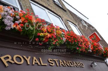Major Plants Ltd - Window Boxes - London - UK - Image 9